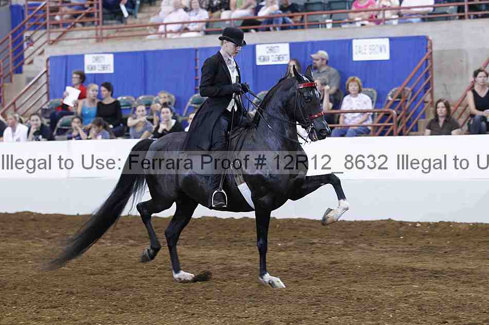 Proof Number 12r12_8632