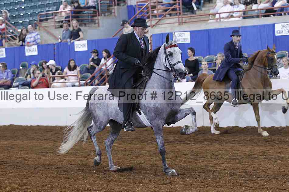 Proof Number 12r12_8635
