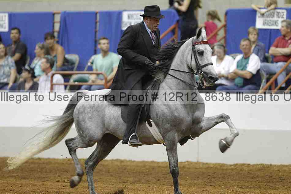 Proof Number 12r12_8638