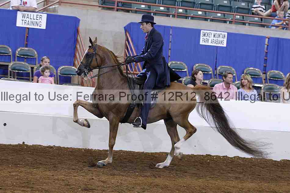 Proof Number 12r12_8642