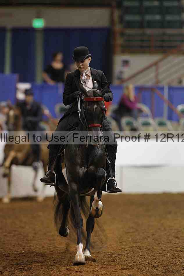 Proof Number 12r12_8646