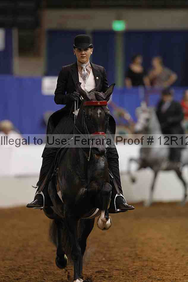 Proof Number 12r12_8651