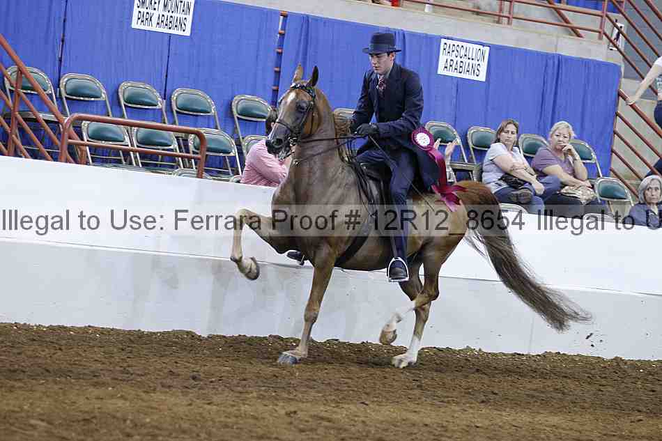 Proof Number 12r12_8654