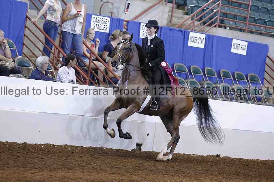 Proof Number 12r12_8656