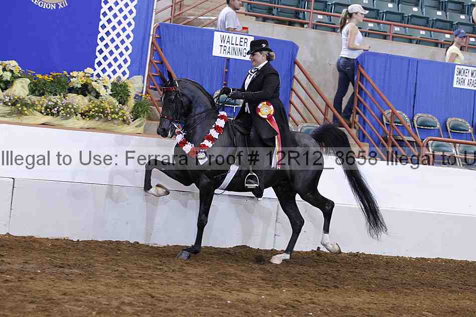 Proof Number 12r12_8658