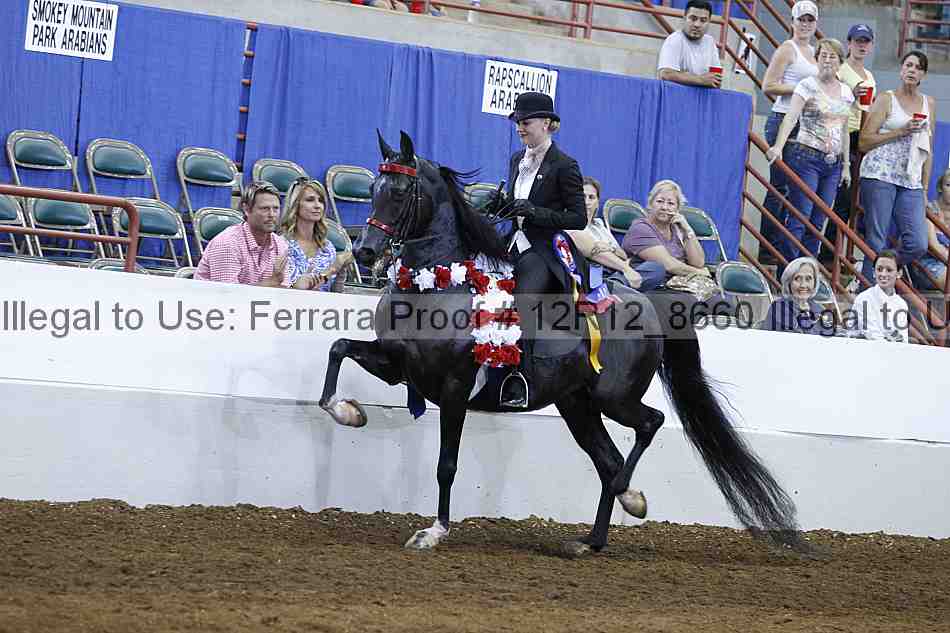 Proof Number 12r12_8660