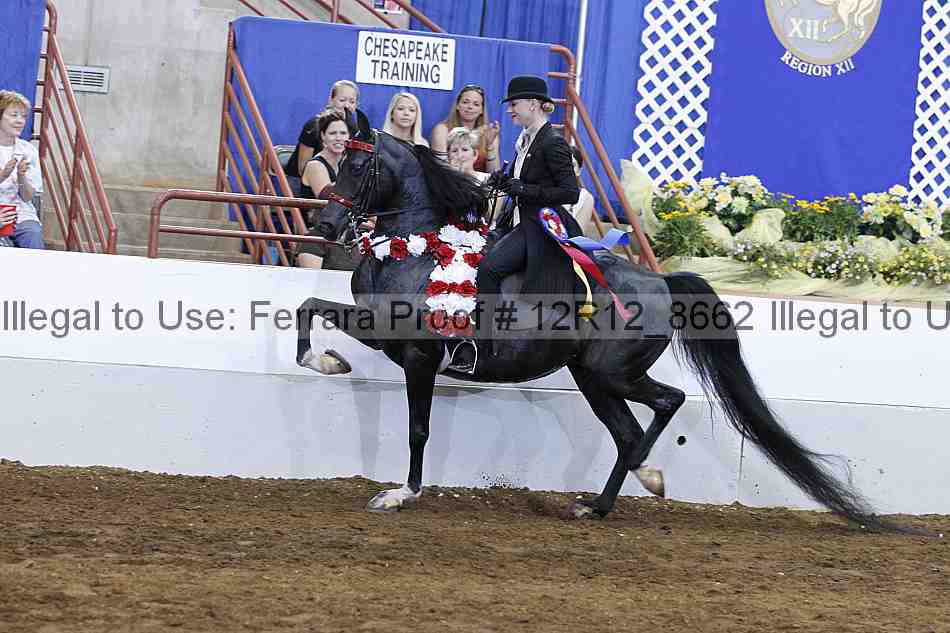 Proof Number 12r12_8662