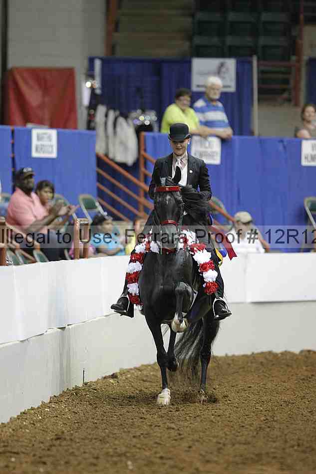 Proof Number 12r12_8665