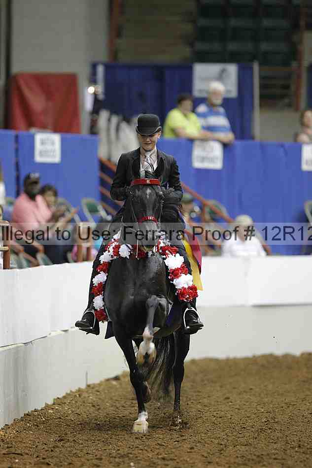 Proof Number 12r12_8666