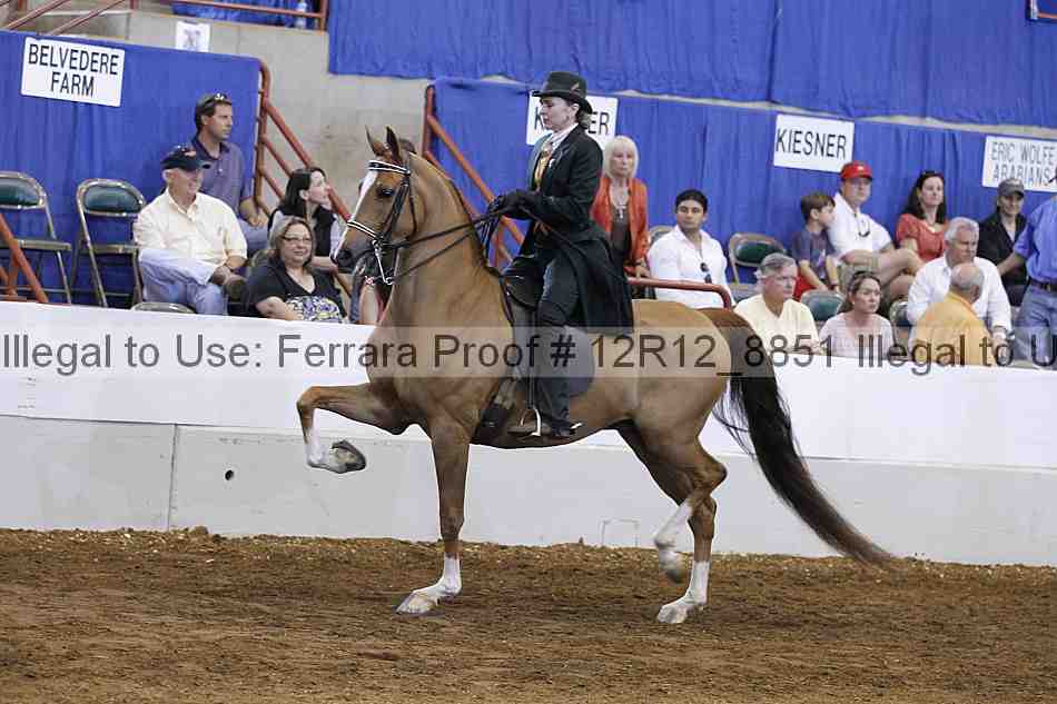 Proof Number 12r12_8851