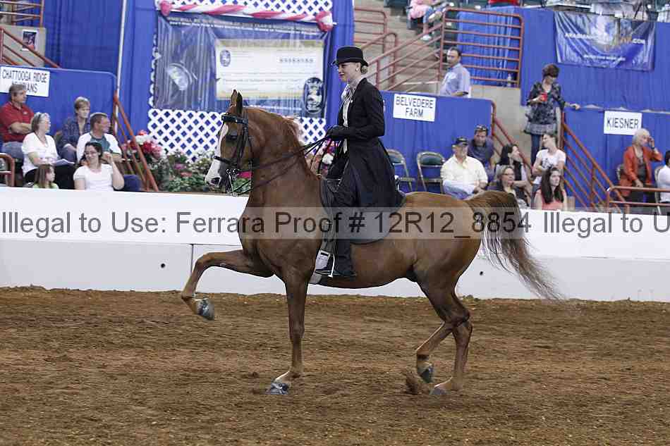 Proof Number 12r12_8854