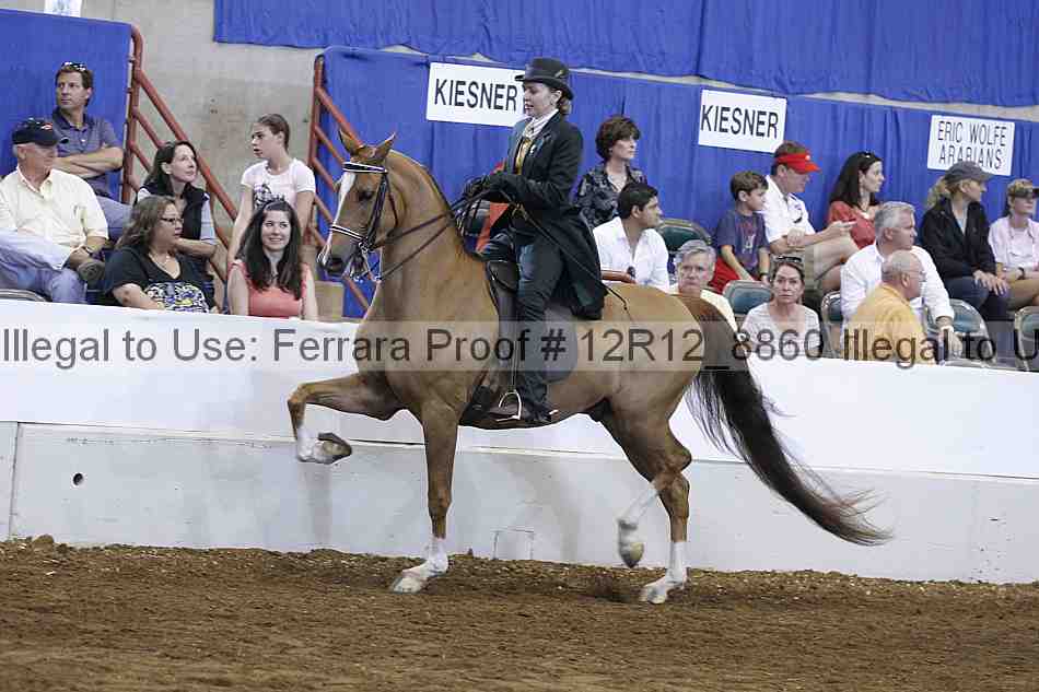 Proof Number 12r12_8860