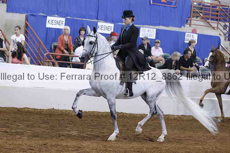 Proof Number 12r12_8862