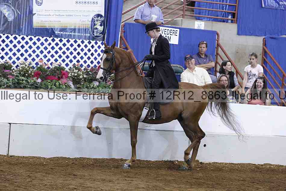 Proof Number 12r12_8863