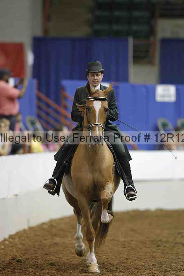 Proof Number 12r12_8865