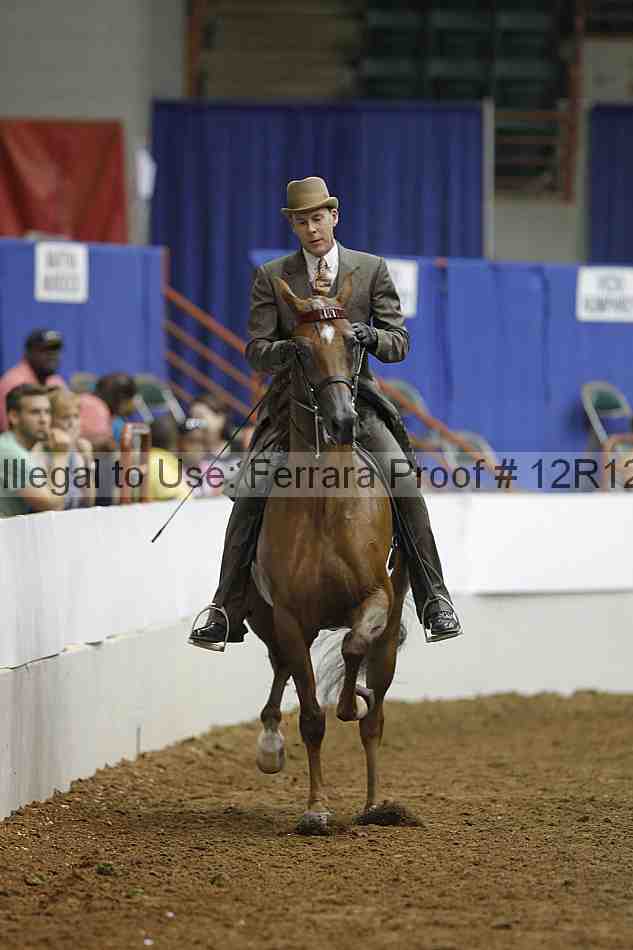 Proof Number 12r12_8866