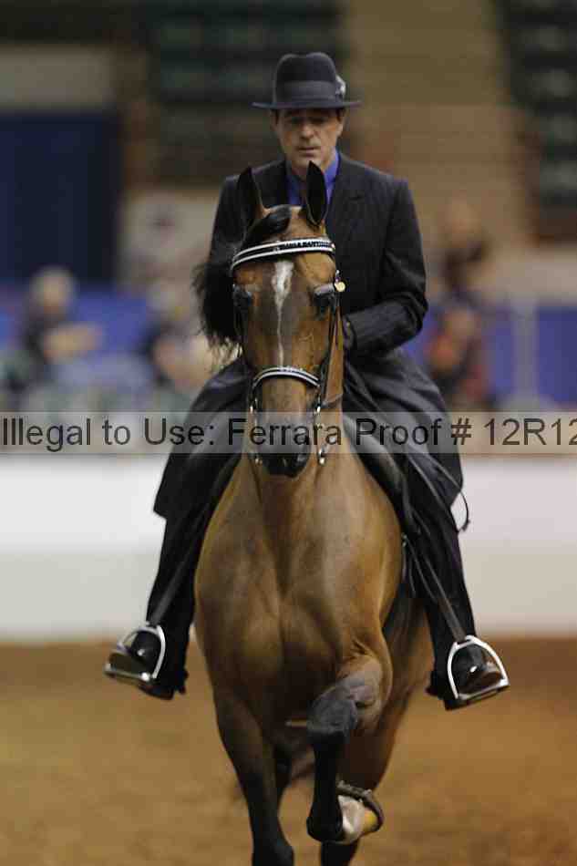 Proof Number 12r12_8867