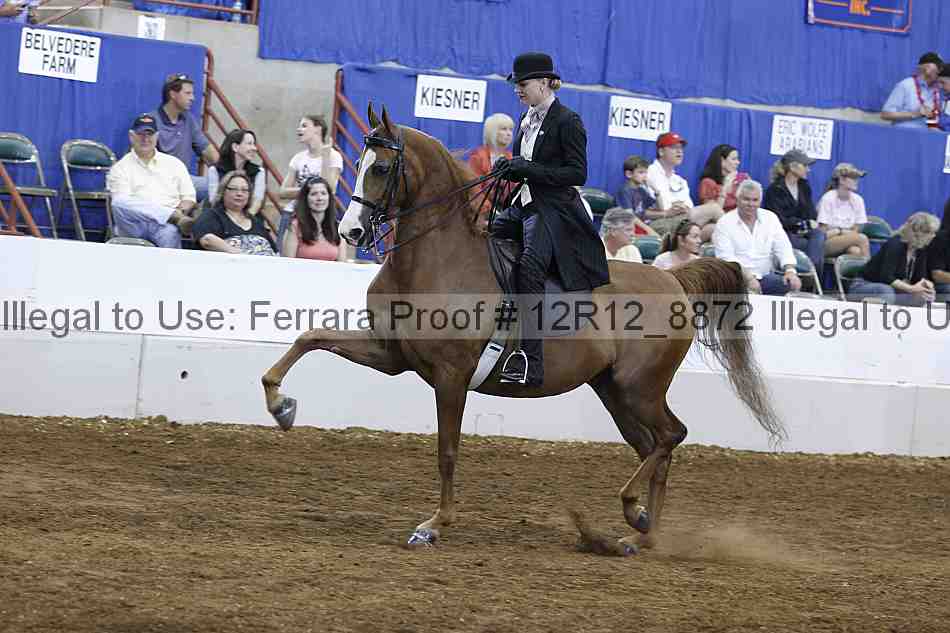 Proof Number 12r12_8872