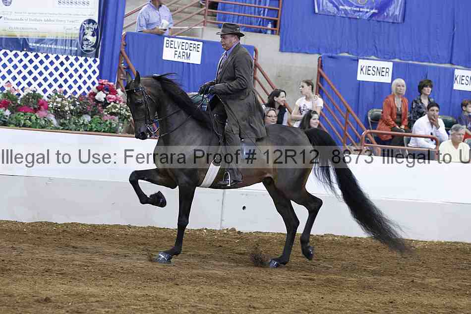 Proof Number 12r12_8873