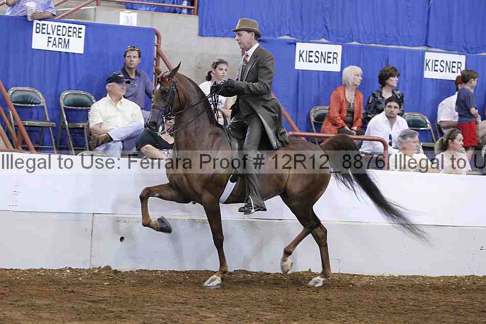 Proof Number 12r12_8876