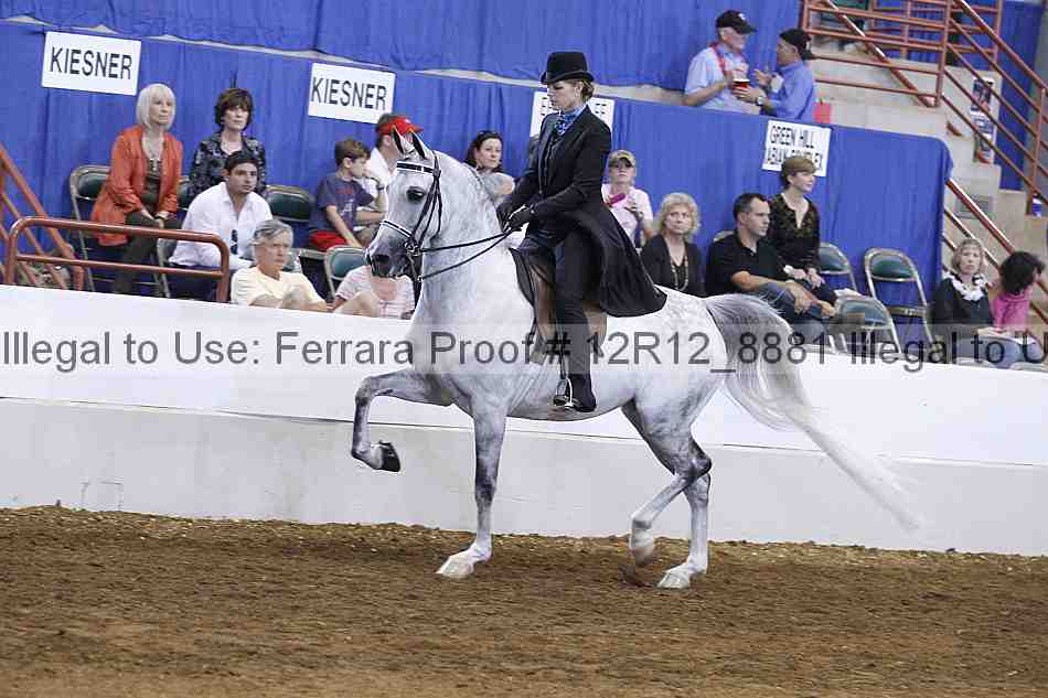 Proof Number 12r12_8881