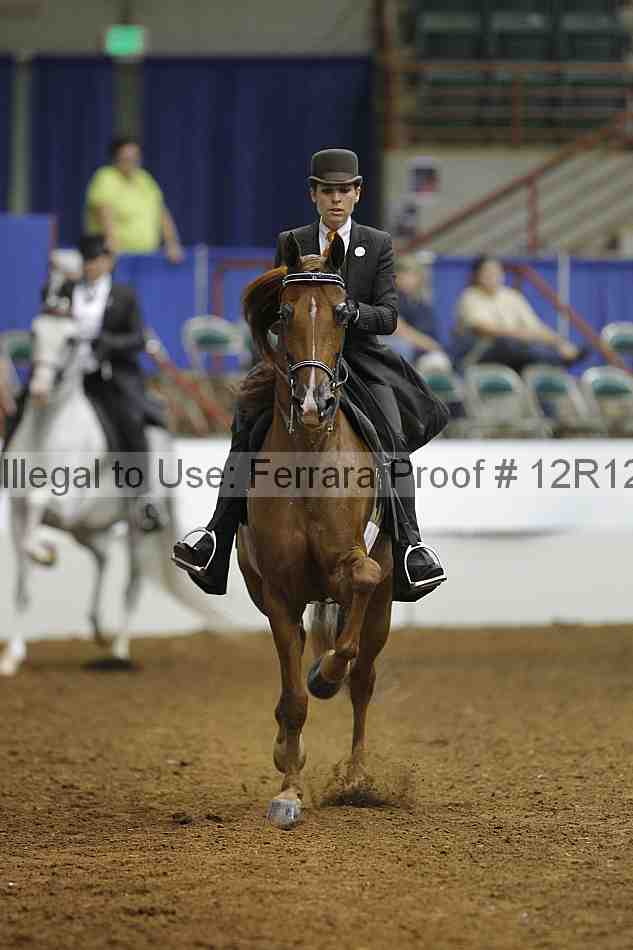 Proof Number 12r12_8887