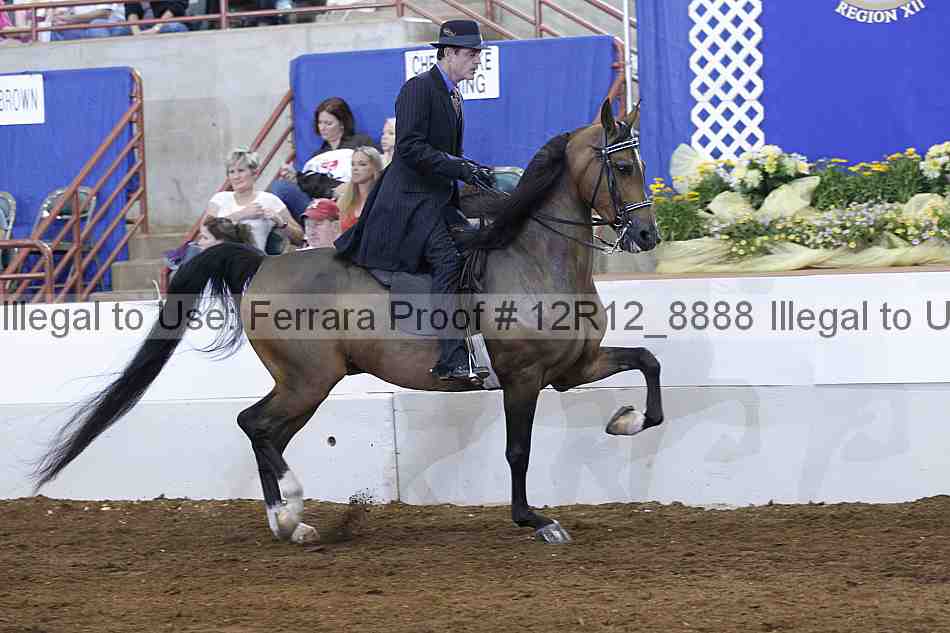 Proof Number 12r12_8888