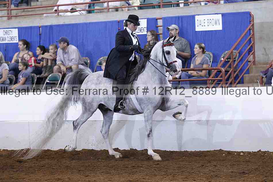 Proof Number 12r12_8889
