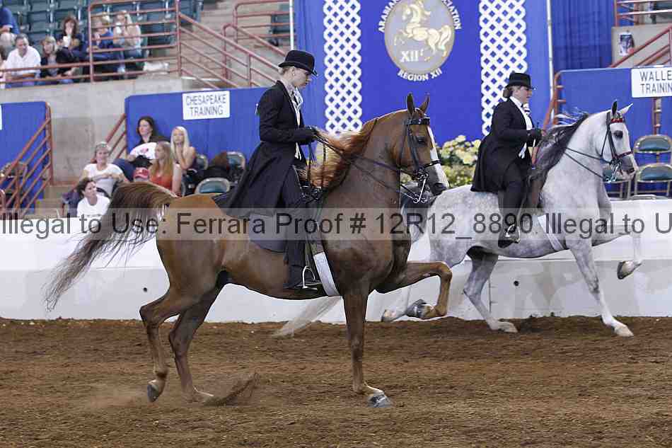 Proof Number 12r12_8890