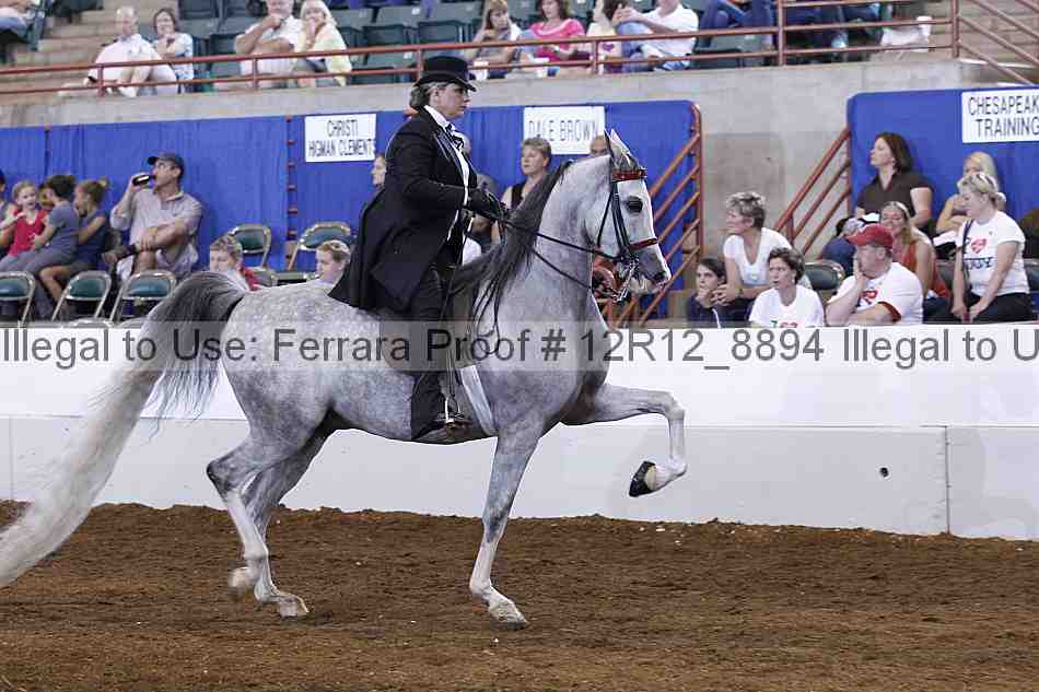 Proof Number 12r12_8894
