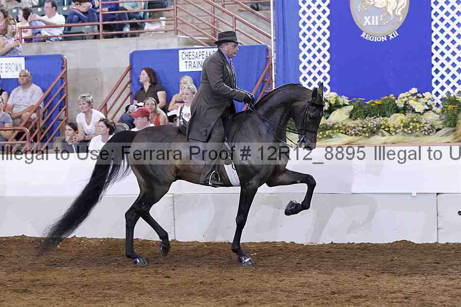 Proof Number 12r12_8895