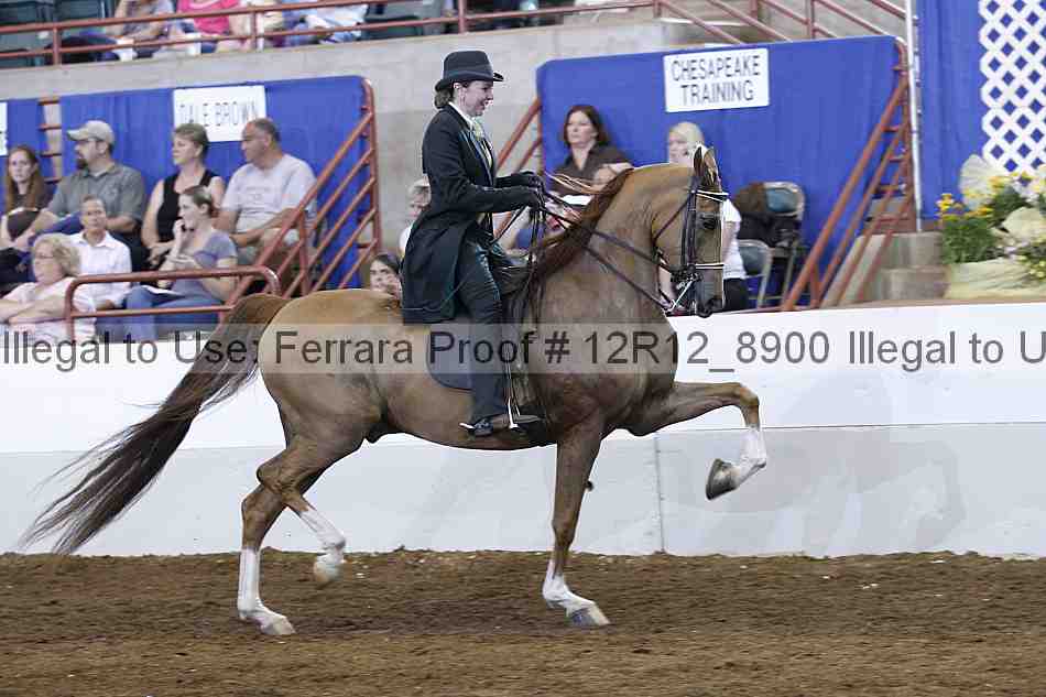 Proof Number 12r12_8900