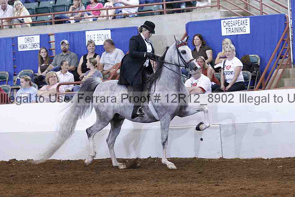 Proof Number 12r12_8902