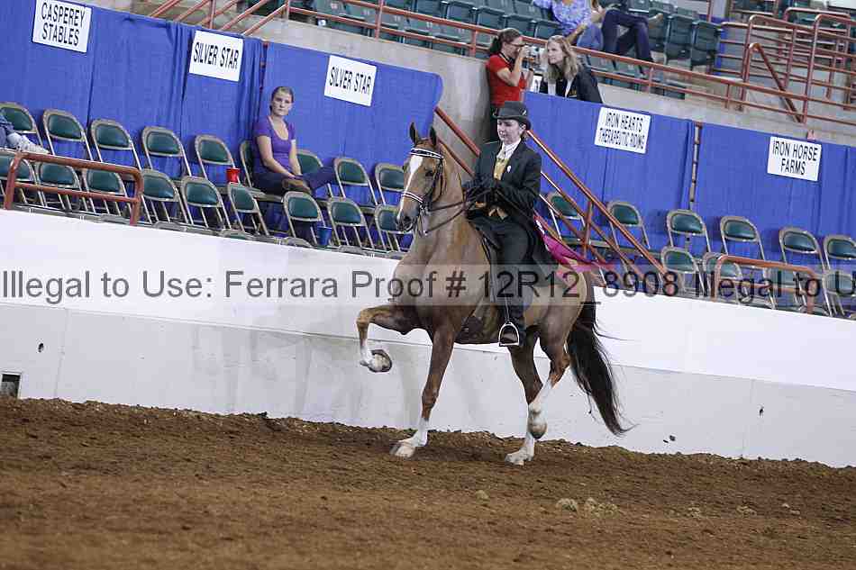 Proof Number 12r12_8908