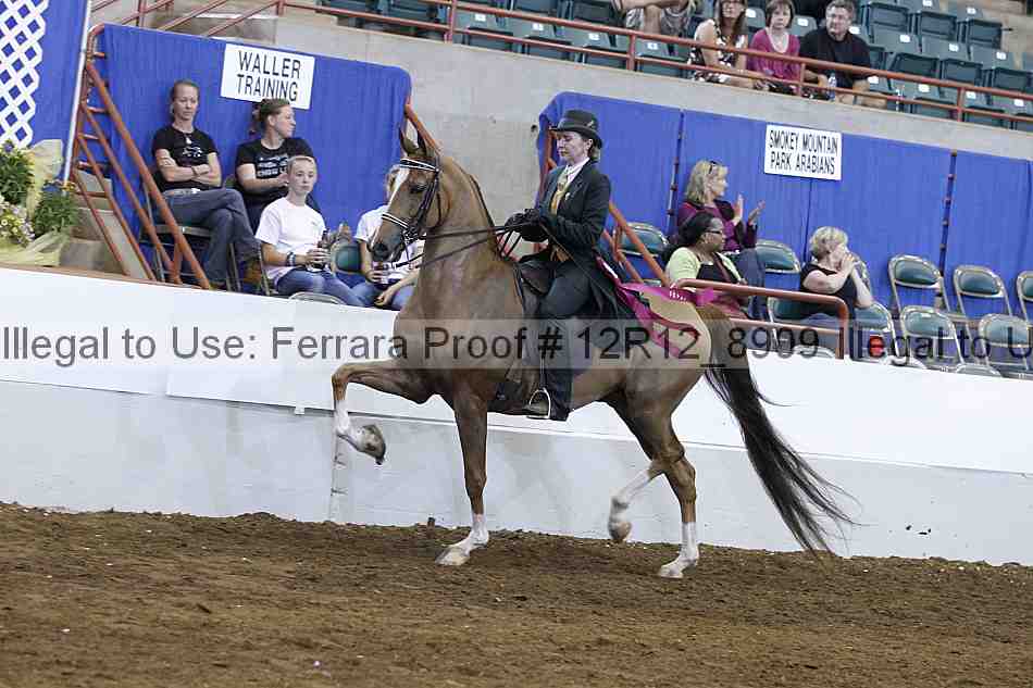 Proof Number 12r12_8909