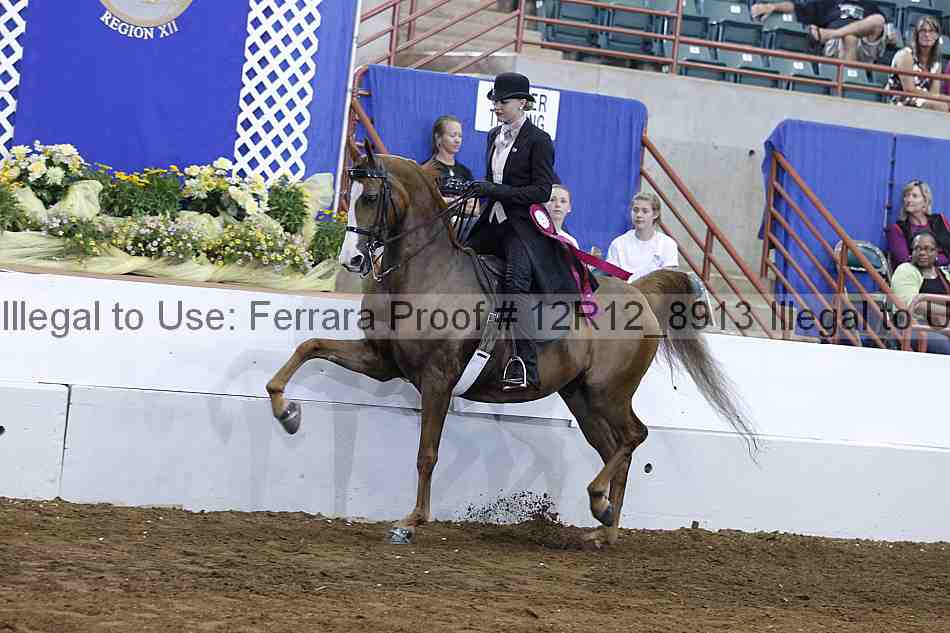 Proof Number 12r12_8913