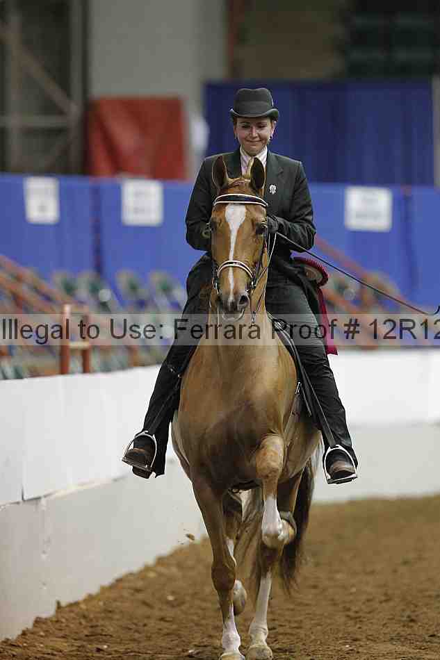 Proof Number 12r12_8919
