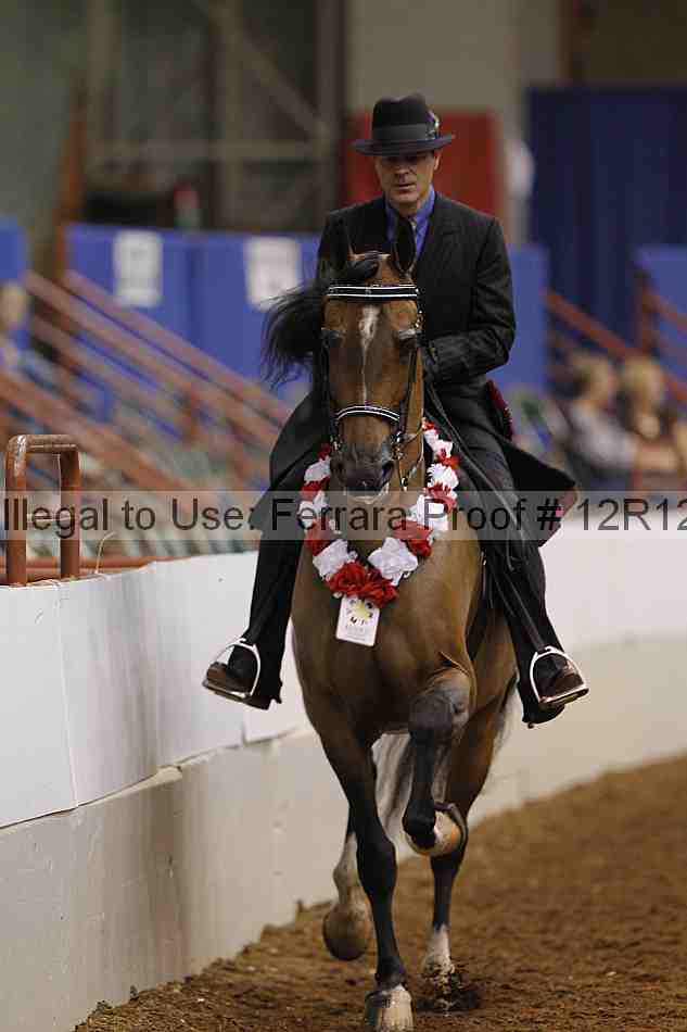Proof Number 12r12_8928