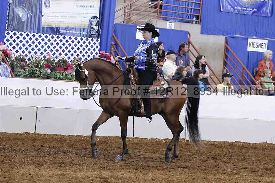 Proof Number 12r12_8934