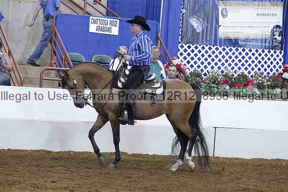 Proof Number 12r12_8936
