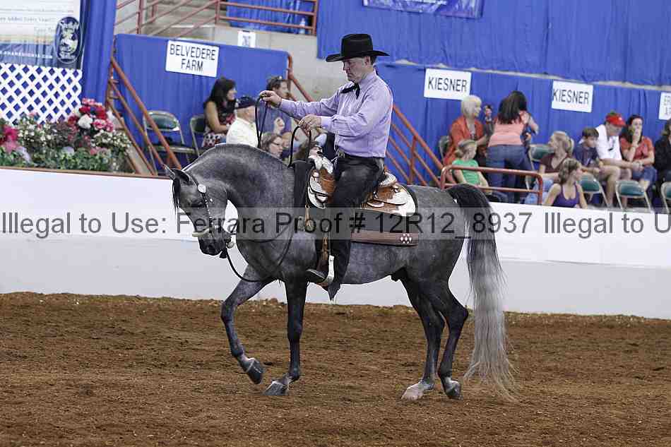 Proof Number 12r12_8937