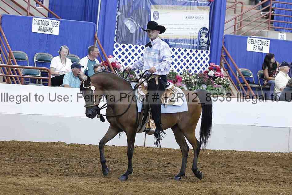 Proof Number 12r12_8938