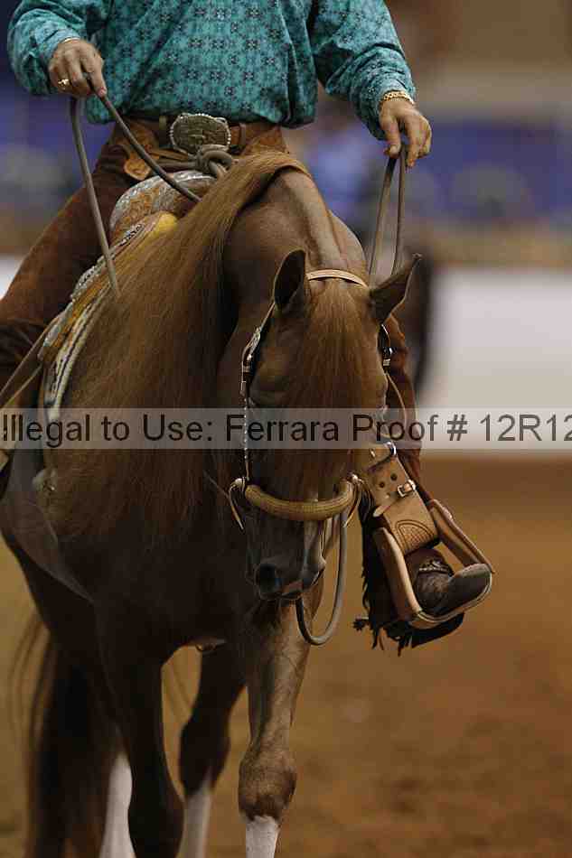 Proof Number 12r12_8943