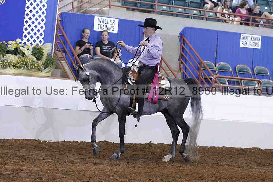 Proof Number 12r12_8960