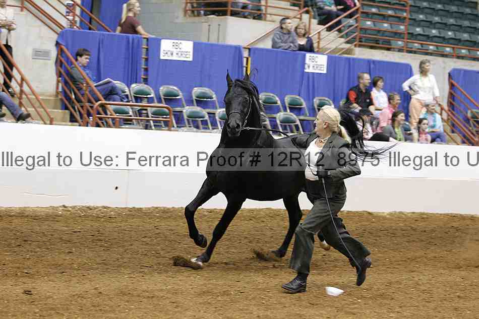 Proof Number 12r12_8975