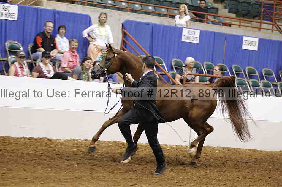 Proof Number 12r12_8978