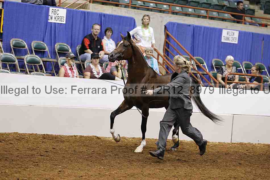 Proof Number 12r12_8979