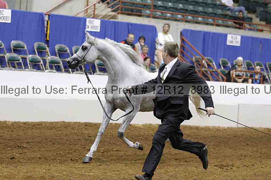Proof Number 12r12_8983