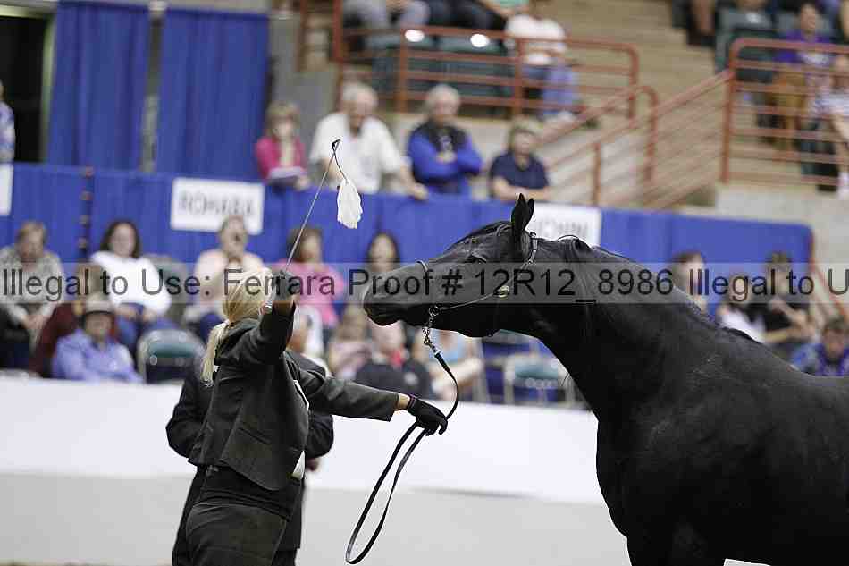 Proof Number 12r12_8986