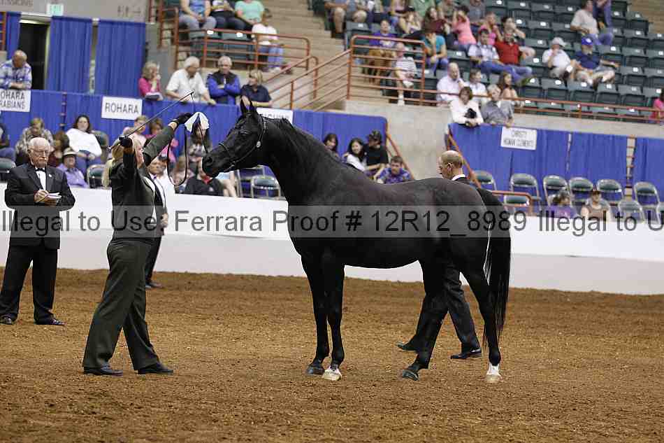 Proof Number 12r12_8989